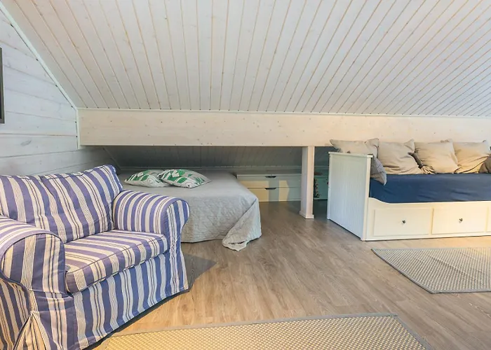 Hideout Swan Saraisniemi